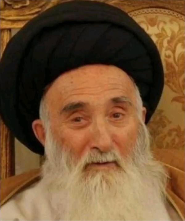 من هو السيد هادي السيستاني ويكيبيديا، سبب وفاة السيد هادي السيستاني السيرة الذاتية