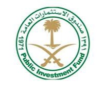 ما هي الشركات التي يملكها صندوق الاستثمارات العامة السعودي ويكيبيديا