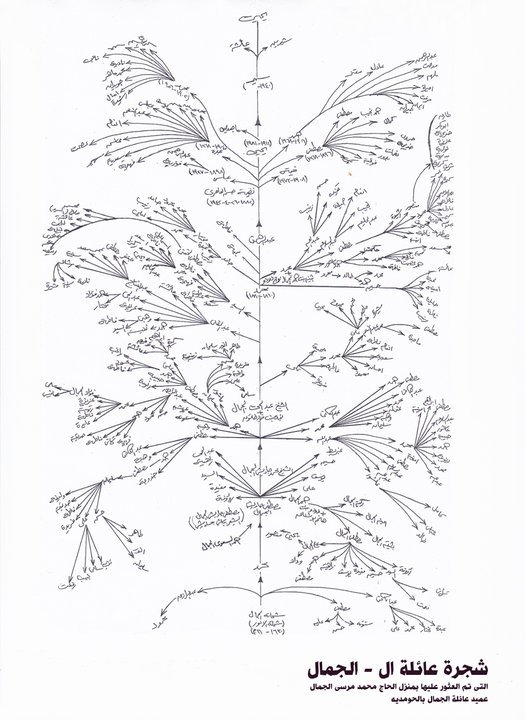 اصل عائلة الجمال ويكيبيديا، نسب عائلة الجمال في السعودية، شجرة عائلة الجمال