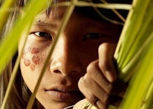 معلومات عن قبيلة ماشكو بيرو ويكيبيديا