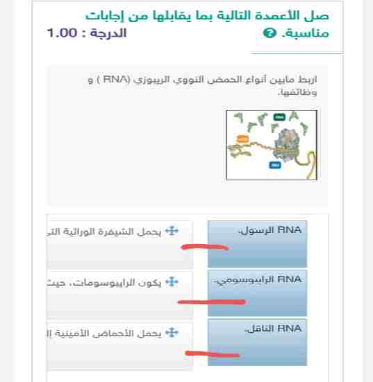 يسرنا أن نرحب بكم طلابنا الأعزاء في موقع ”طـلائـع العـلم”، ونأمل أن يكون هذا الموقع بمثابة بيت العلم الثاني، وأن تجدوا فيه كلّ ما يلزمكم لتحقيق النجاح والتألق. كما نؤكد لكم أننا سنبذل قصارى جهدنا في إظهار النتيجة الصحيحة لكافة الأسئلة التي يطرحها الطلبة لجعل تجربتكم هنا مميزة ومثمرة، وتوفير بيئة تعليمية داعمة ومحفزة تُساعدكم على تحقيق أقصى استفادة من قدراتكم وتحقيق أهدافكم. وهنا على موقعنا نضع بين أيديكم إجابة سؤال: