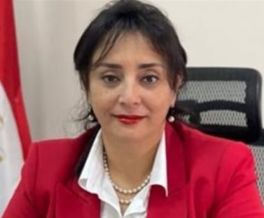 من هي غادة شلبي وزيرة السياحة والاثار ويكيبيديا السيرة الذاتية