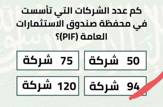 عدد شركات صندوق الاستثمارات العامة PDF